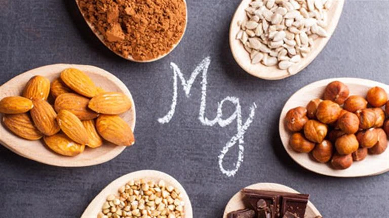 نقص المغنيسيوم يسبب الإصابة بهذا المرض لايف ستايل شاهد المقال التالي من صحافة مصر عن نقص المغنيسيوم يسبب الإصابة بهذا المرض، 09 02 ص الأربعاء 14 أغسطس 2024 كشفت دراسة جديدة أجراها