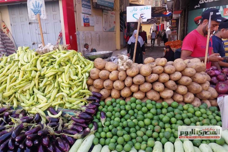سعر البصل والطماطم والخضروات بالأسواق اليوم الأربعاء 14 أغسطس 2024 يبحث عدد كبير من المواطنين عن أسعار الخضروات في الأسواق اليوم الأربعاء 14 أغسطس