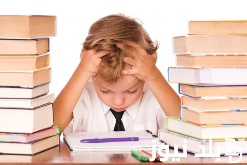 بداية السنة الدراسية الجديدة 2025 للمدارس والجامعات في مصر والخريطة الزمنية للعام الدراسي الجديد .() وبعد كافة التعديلات المتعددة التي أعلن عنها