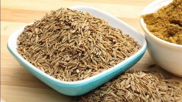 ماذا يحدث للجسم عند تناول الكمون يوميا .. إليك الفوائد والأضرار يعد الكمون من أشهر التوابل المستخدمة في المطبخ المصري والشرقي ولكن هذه العشبة لها