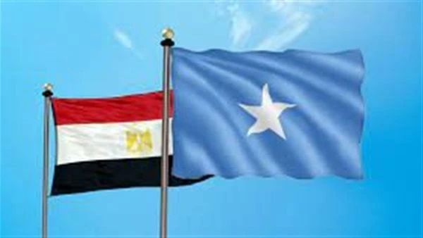 ارتفاع 88 في قيمة التبادل التجاري بين مصر والصومال بالنصف الأول 2024 ارتفعت قيمة التبادل التجارى بين مصر والصومال حيث بلغ 59 مليون دولار خلال النصف