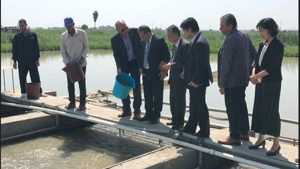 برنامج تدريبي بتنمية الثروة السمكية حول نظم استزراع وتفريخ أسماك المياة العذبة انطلقت اليوم فعاليات البرنامج التدريبي الثاني لهذا العام بعنوان نظم