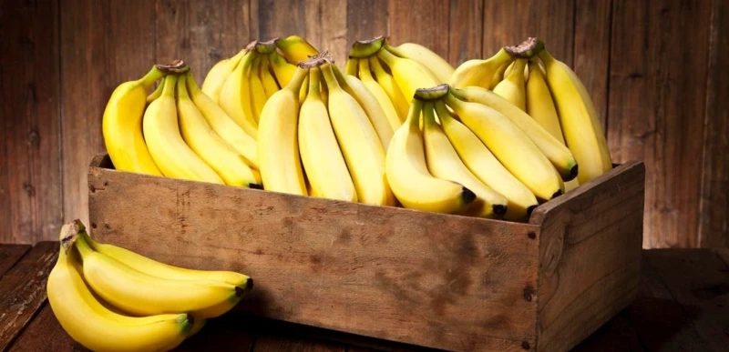 دراسة عن الموز.. هل يساعد في الإقلاع عن التدخين؟ صحة صحة، دراسة عن الموز هل يساعد في الإقلاع عن التدخين؟،أسباب عديدة تدفع الشخص للإقلاع عن التدخين،