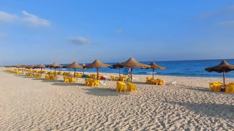 5 أيام ب 2000 جنيه.. وزارة الشباب تعلن عن أفواج رحلات إلى مرسى مطروحيبحث الكثير من الناس في جميع أنحاء الجمهورية، عن مصيف يكون في مكان راقي بتكلفة