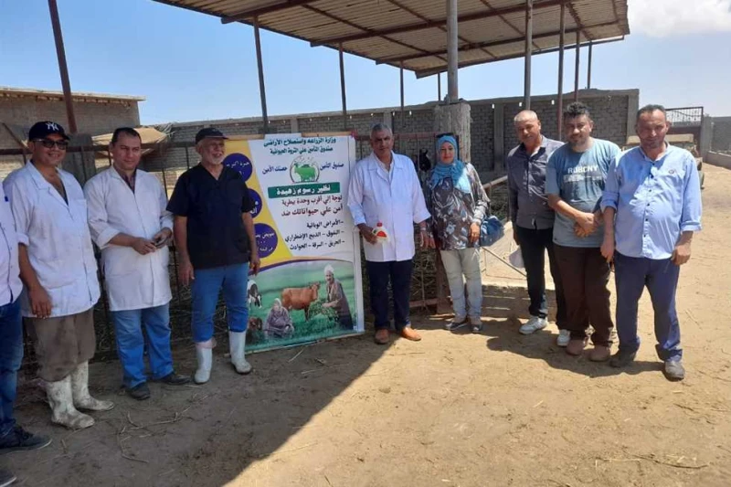 الزراعة: علاج وفحص 960 رأس ماشية مجانا لدى صغار المربين في بورسعيد نظم مركز البحوث الزراعية بالتعاون مع هيئة الخدمات البيطرية قافلة بيطرية في محافظة بور سعيد لمدة 3 أيام جابت العيا