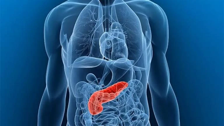 دراسة تحذر: هذه الأطعمة قد تسبب سرطان القولون بين الشباب لايف ستايل لايف ستايل، دراسة تحذر هذه الأطعمة قد تسبب سرطان القولون بين الشباب،02 00 ص الأحد