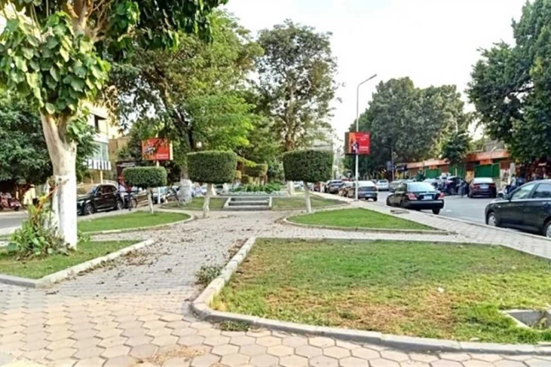 محافظ الأقصر يتابع أعمال التوسع في زراعة الأشجار ضمن 100 مليون شجرة شدد المهندس عبدالمطلب عمارة محافظ الأقصر اليوم الأحد، على المتابعة الميدانية