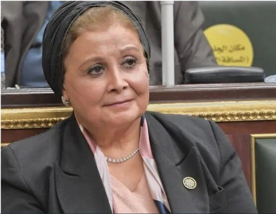 الصحة تدعو الدول الإفريقية الاستفادة من مبادرة الألف يوم من أجل تنمية الأسرةأكدت الدكتورة عبلة الألفي نائب وزير الصحة والسكان، مواصلة التصدي للتحديات