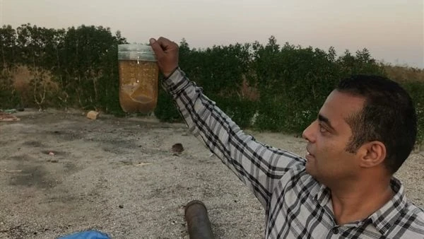 فرحة صيادي الفيوم.. إلقاء مليون زريعة جمبري في بحيرة قارون لأول مرة منذ سنواتشهد اليوم عملية استلام وإنزال مليون وحدة زريعة من الجمبري وسط فرحة عارمة بين صيادي الفيوم ، وذلك بحضور 