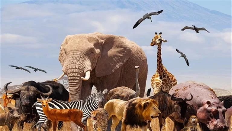 حيوان يستطيع حبس أنفاسه 6 أيام ودون طعام لمدة عام- ماهو؟ لايف ستايل لايف ستايل، حيوان يستطيع حبس أنفاسه 6 أيام ودون طعام لمدة عام ماهو؟،07 01 م الأحد 25 أغسطس 2024 كتبت شيماء مرسي 