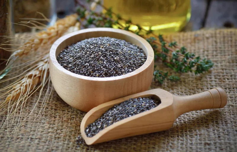 فوائد وأضرار بذور الشيابذور الشيا هي بذور سوداء صغيرة، يعود تاريخها إلى عام 3500 قبل الميلاد، حيث تستخرج من نبات ينتمي إلى عائلة النعناع، يسمى سالفيا هيسبانيكا؛ يتم استهلاكها على ن