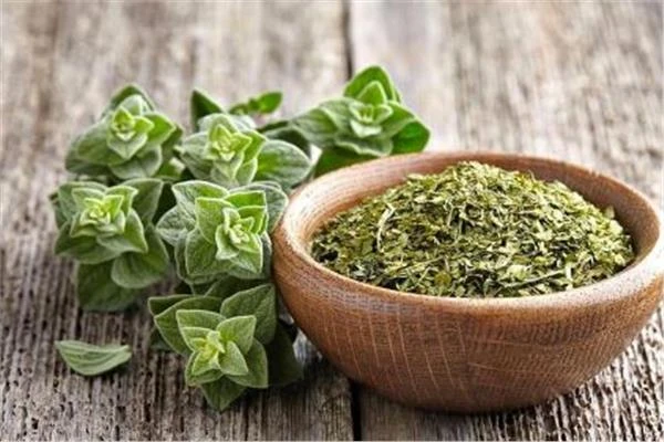 أبرزها علاج حب الشباب.. تعرف على فوائد الزعتر الصحية متفرقات أبرزها علاج حب الشباب.. تعرف على فوائد الزعتر الصحية الزعتر ينتمي الزعتر إلى عائلة النعناع ويمتاز بأوراقه الصغيرة الخضر