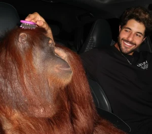 ابن راغب علامة يثير الجدل بعد ظهوره برفقة قرد تعرف على التالي ابن راغب علامة يثير الجدل بعد ظهوره برفقة قرد، وكالات السوسنةنشر خالد علامة ابن الفنان