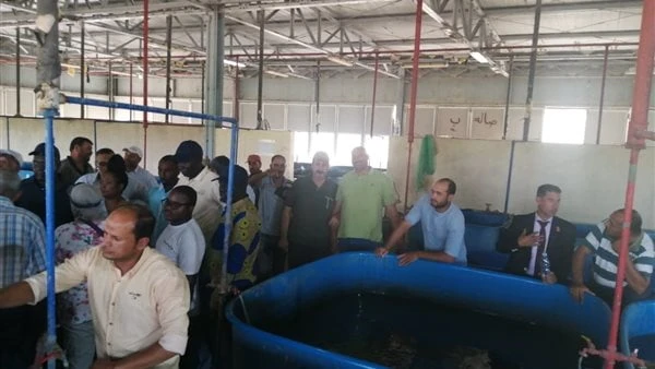 تعاون مصري إفريقي في مجال التدريب لتنمية المزارع السمكية استقبل جهاز حماية وتنمية الثروة السمكية وفد افريقي مكون من ١٥ متدربا خلال الفترة من ١٥٩ ٢٠٢٤ الى ١٧٩ ٢٠٢٤ للتدريب العملي ال