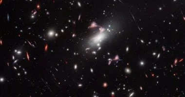 ..جيمس ويب يرصد زوجا من المجرات يشكل علامة استفهام..تفاصيل تتابع الان تفاصيل ما ورد عن جيمس ويب يرصد زوجا من المجرات يشكل علامة استفهام، اكتشف تلسكوب جيمس ويب الفضائي مجرة جديدة ذا