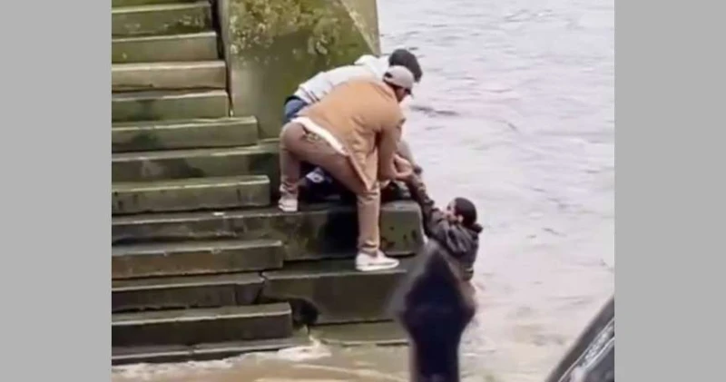 بالفيديو- شهامة مواطنين إماراتيين تنقذ امرأة من الغرق في لندن لايف ستايل تداول نشطاء في مواقع التواصل على نحو واسع، مقطع فيديو يوثق كيف أقدم شابان إماراتيان على إنقاذ فتاة من الغرق
