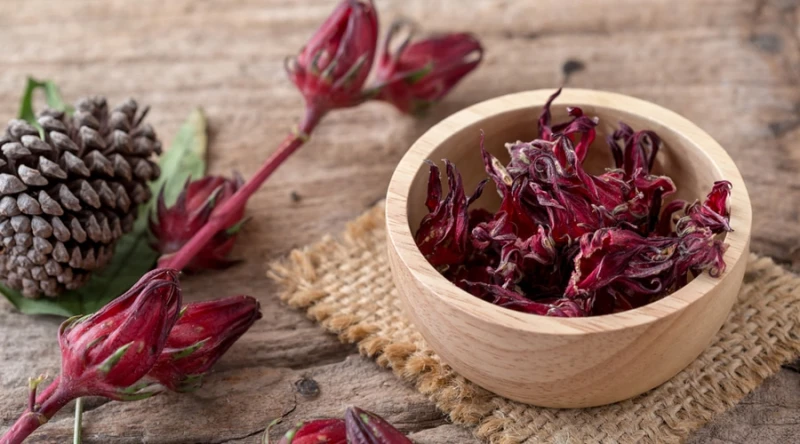 فوائد الكركديه.. المشروب السحري لصحة الجسمالكركديه هو نبات يتميز بأزهاره الحمراء اللامعة، ويستخدم في العديد من الثقافات كمشروب أو كجزء من الأطعمة. يتمتع الكركديه بمجموعة متنوعة من 