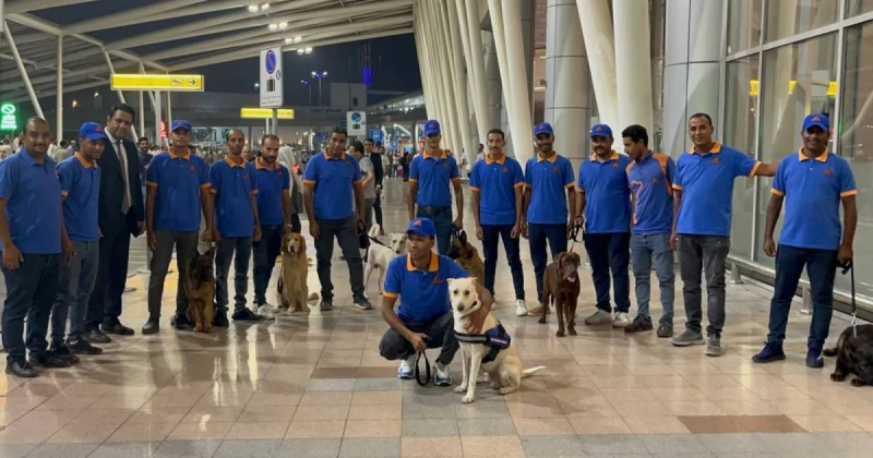 بعد مشاركته المميزة في مهرجان فينيسيا السينمائي الدولي.. الكلب رامبو يعود إلى مصر وسط إستقبال شرفي تعرف على التالي بعد مشاركته المميزة في مهرجان فينيسيا السينمائي الدولي.. الكلب را