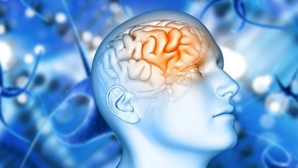 لازم تبدأ بسرعة .. كيفية علاج الصرع عند الأطفال يعد الصرع من أخطر الأمراض التي تصيب الإنسان ولكن الاكتشاف والعلاج المبكر يساعد بشكل كبير في التأقلم