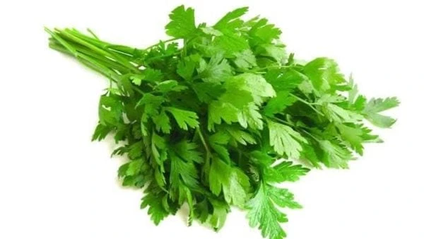 بعد ارتفاعها بالأسواق.. الفلاحين تكشف موعد انخفاض أسعارالخضرة البقدونس والشبت والكزبرةشهدت أسعار الخضروات الورقية الخضرة مثل البقدونس والشبت والجرجير