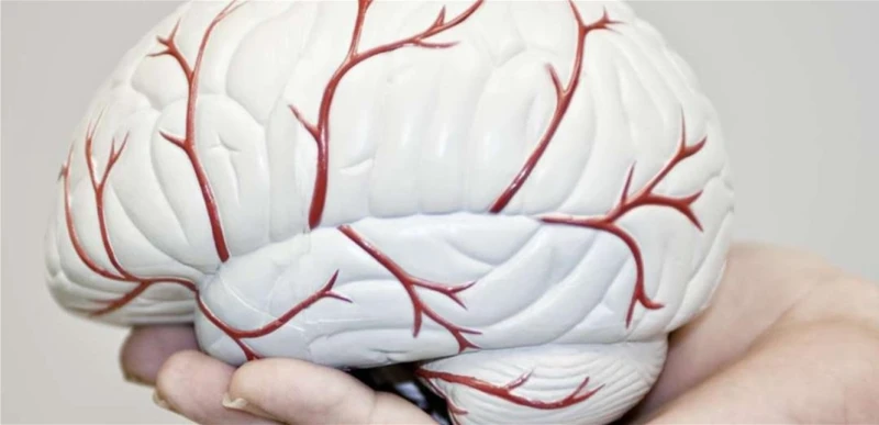 هل تقلل قسطرة البالون من خطر تضيق شرايين الجمجمة؟ إعلانات 2 بالنسبة للمرضى الذين يعانون من ضيق الشرايين التصلبية داخل الجمجمة ()، فإن عملية توسيع