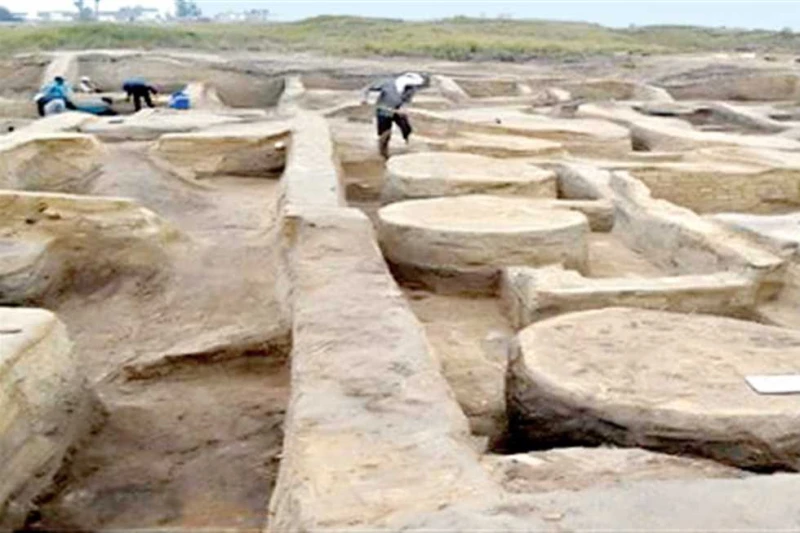 يشهد اهتماما.. كبير الأثريين يكشف عن آخر الاكتشافات الأثرية بالوجه البحري قال الدكتور مجدي شاكر، كبير الأثريين بوزارة السياحة والآثار، أن منطقة الوجه