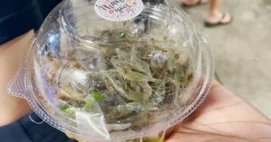 الجمبري الراقص أشهر أكلة في تايلاند.. يقفز من الأطباق حيا المرأة والمنوعات يعتبر طبق ، أو الجمبرى الراقص، من الأطعمة التايلاندية الشعبية التى يتم