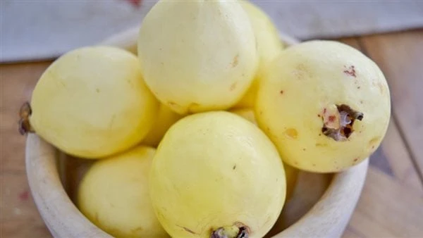 ماذا يحدث لجسمك عند تناول الجوافة؟ تنتشر الجوافة بشكل كبير في هذه الفترة ولذلك لابد من الحرص على تناولها حيث تتعدد الفوائد الصحية لفاكهة الجوافة. فهي غنية بالمواد المضادة للأكسدة، 