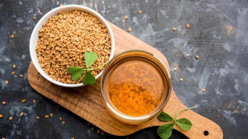 الحلبة.. سر الصحة والعافية من الطبيعة الحلبة هي واحدة من أكثر النباتات العشبية شهرة في الطب الشعبي والطبيعي، وتتميز بخصائصها الطبية المتعددة التي