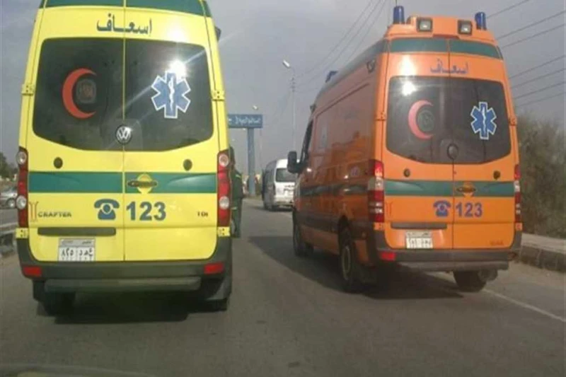 مديرية الصحة بالمنوفية: لا حالات جديدة مصابة بفيروس .. وعينات دورية للمياه في أول تعليق له على تردد أنباء بشأن الاشتباه بالإصابة بفيروس ظهرت على بعض الحالات بقرية تلبنت أبشيش بمركز