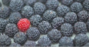 عشان تحافظ على صحة قلبك.. السر فى هذه الفاكهة السوداء صحة وطب يعد الحفاظ على صحة القلب من أهم الأولويات بالنسبة لملايين الأشخاص حول العالم نظرا