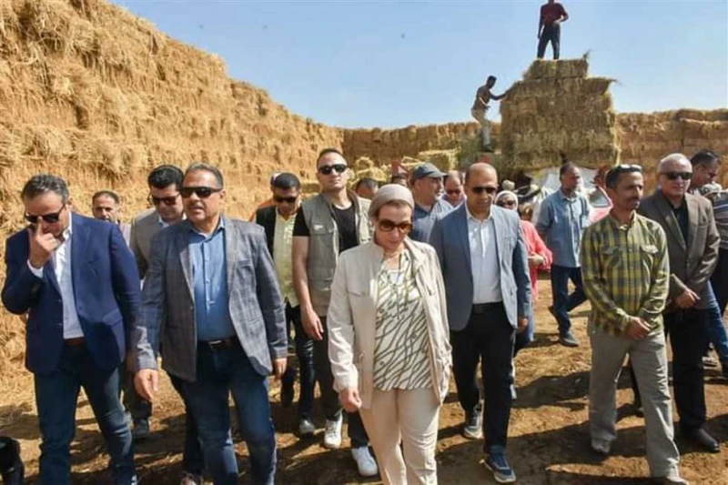 للحد من الحرق المكشوف.. وزيرة البيئة تتفقد مواقع تجميع وكبس قش الأرز بالشرقية (تفاصيل) أجرت الدكتورة ياسمين فؤاد، وزيرة البيئة، والمهندس حازم الأشموني، محافظ الشرقية، جولة تفقدية ب