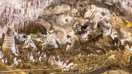 الولايات المتحدة.. رقائق ذرة تسبب كارثة بيئية في محمية أمريكية متفرقات قضت وجبة من رقائق الذرة على كهوف كارلسباد في محمية نيو مكسيكو الوطنية الأمريكية، وحولتها إلى فخ سام لآلاف الح