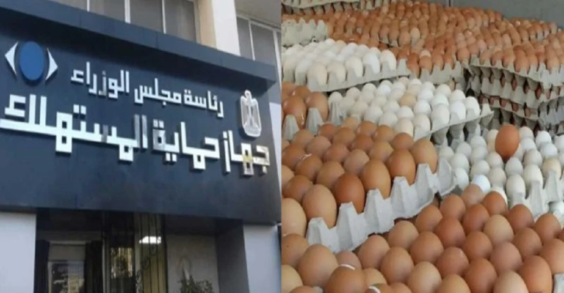 من هم التجار الذين أشعلوا سعر البيض شبكة فساد أربكت الأسواقمن هم التجار الذين أشعلوا سعر البيض شبكة فساد أربكت الأسواق.. في إطار الجهود التي تبذلها الحكومة للحد من التلاعب بأسعار ا