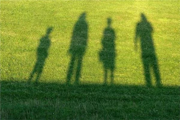 خبيرة توضح العلاقة بين الظل ومستويات فيتامين د متفرقات خبيرة توضح العلاقة بين الظل ومستويات فيتامين د العلاقة بين الظل ومستويات فيتامين د نتيجة