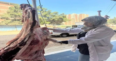 محافظ الغربية غذاء المواطن خط أحمر و لا تهاون بالعبث أو المساس به كتبمحمود شتا الجندي : الطب البيطري يحرر عدد ٧٢محضرا بإجمالي(٤ طن و٣٠٠ كجم ) بأسواق مراكز المحافظة خلال شهر سبتمبر 