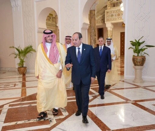 تعاون لمواجهة المخاطر الأمنية المشتركة.. تفاصيل لقاء الرئيس السيسي ووزير الداخلية السعوديجانب من لقاء الرئيس السيسي ووزير الداخلية السعودياستقبل