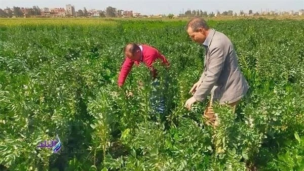 البيئة في الإسلام.. تعرف على مظاهر حمايتها والعناية بهاأكدت دار الإفتاء المصرية، إن الإسلام قد اهتم بالبيئة اهتماما كبيرا، ووضع من التشريعات والقواعد ما يضمن سلامتها وتوازنها واستق