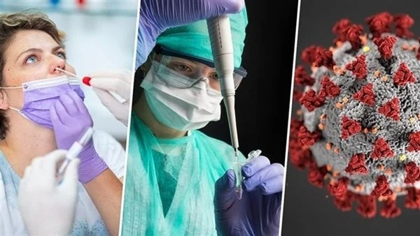 متحور فيروس كورونا الجديد .. الفئات الأكثر عرضة وطرق الوقاية منهمتحور فيروس كورونا الجديد ، يسبب حوالي 4 من حالات العدوى، وفقا لمراكز السيطرة على