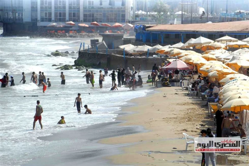 فرص سقوط أمطار بتلك المناطق.. الأرصاد تكشف توقعات حالة الطقس غدا الإثنين 2-9-2024 يتوقع خبراء هيئة الأرصاد الجوية أن تشهد حالة الطقس غدا الاثنين