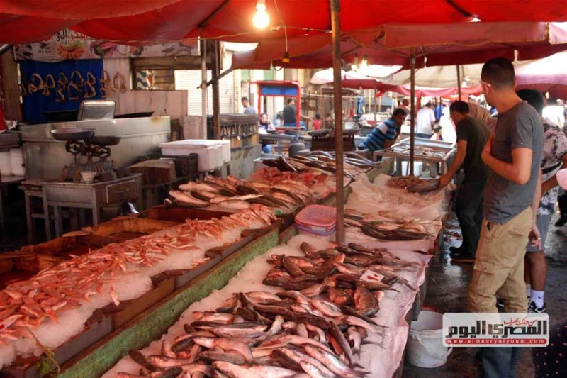 البلطي ب79.. قائمة أسعار السمك اليوم الثلاثاء 10 -9-2024 بسوق العبور شهدت أسعار الاسماك، اليوم الثلاثاء، 10 سبتمبر 2024 ارتفاعا ملحوظا، وفقا لآخر تحديث للموقع الرسمي لسوق العبور لل