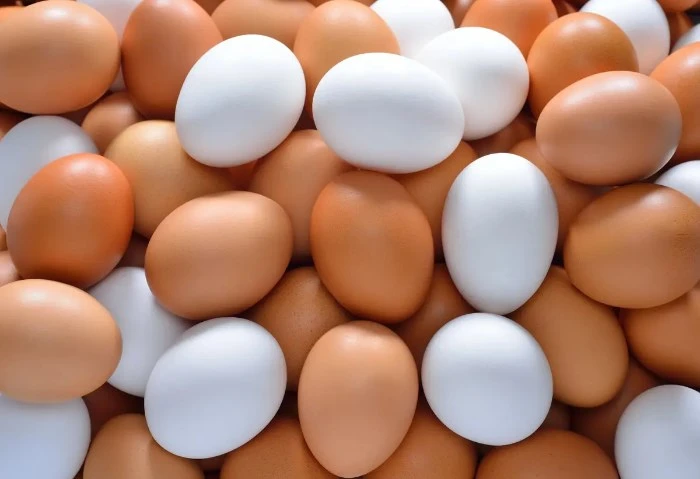 أول تعليق من رئيس شعبة البيض على قرار إحالة 21 من كبار المنتجين للنيابة العامة علق أحمد نبيل عبد الله، رئيس شعبة بيض المائدة بالاتحاد العام لمنتجي الدواجن، على قرار جهاز حماية المن