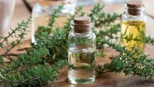 فوائد زيت الزعتر للبشرة والشعر صحة وجمال وكالات - السوسنةيتميز زيت الزعتر بالعديد من الفوائد المهمة لصحة ونضارة البشرة والشعر، بفضل خصائصه الغنية