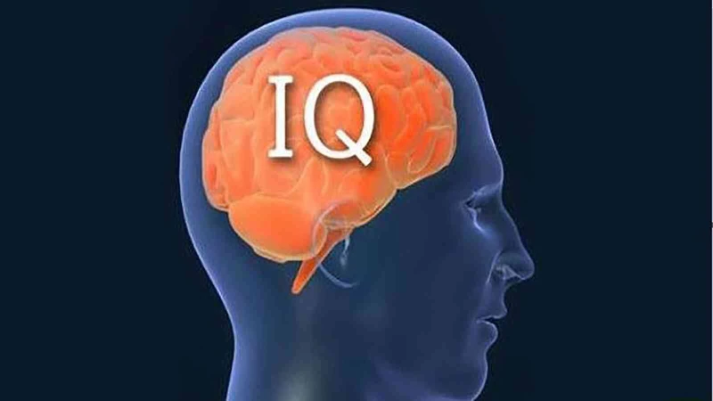 دراسة أمريكية تكشف عن أذكى شعب عربي.. لن تصدق من حل في ذيل القائمة؟ _اخبار اليمن من هو أذكى شعب عربي؟ هذا ما كشفته الدراسة التي نشرتها مجلة الامريكية، وهي دراسة بحثية أمريكية صدرت 