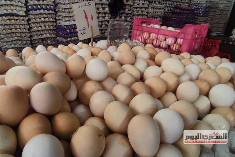 حماية المستهلك تكشف أسباب ارتفاع سعر البيض.. وعقوبات رادعة ضد كبار التجار أعلن جهاز حماية المنافسة ومنع الممارسات الاحتكارية عن تحريك دعوى قضائية ضد 21 من كبار منتجي بيض المائدة في
