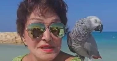 لبلبة لاليوم السابع عن فيديو البغبان: كان عفويا وتفاجأت بتقبيله لي تعرف على التالي لبلبة لاليوم السابع عن فيديو البغبان: كان عفويا وتفاجأت بتقبيله