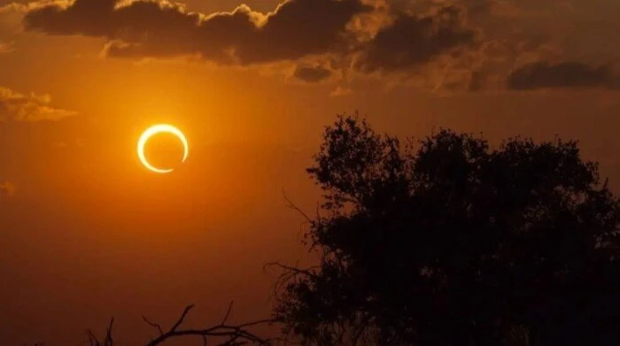 كسوف الشمس 2024.. موعده وكيفية أداء صلاته والأدعية المستحبة منوعات الاسبوع كسوف الشمس 2024.. يبحث الكثير من المسلمين خلال الفترة الحالية عن دعاء كسوف الشمس 2024، خصوصا بعد إعلان ال