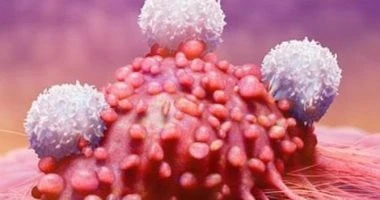 شهر التوعية بسرطان الدم.. ما أنواعه وأعراض الإصابة؟ صحة وطب سرطان الدم هو شكل من أشكال السرطان الذي يتطور في نخاع العظم، ويتم الاحتفال بشهر التوعية