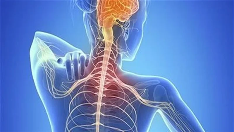 ما هو مرض التصلب المتعدد وكيفية التعايش معهقدم الدكتور ماجد عبد النصير أستاذ أمراض المخ والأعصاب في كلية الطب بجامعة القاهرة ومستشار المخ والأعصاب في الهيئة العامة للتأمين الصحي، م