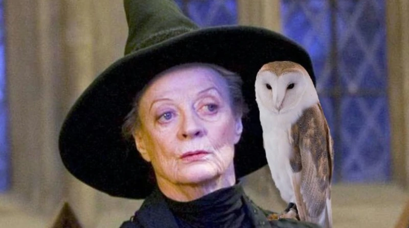 ساحرة هاري بوتر.. بريطانيا تودع كنزها الوطني ماجي سميث أعلن أبناء الفنانة البريطانية ماجي سميث، عن وفاتها أمس الجمعة عن عمر ناهز 89 عاما، وهي واحد من أشهر الممثلات البريطانيات، ووص